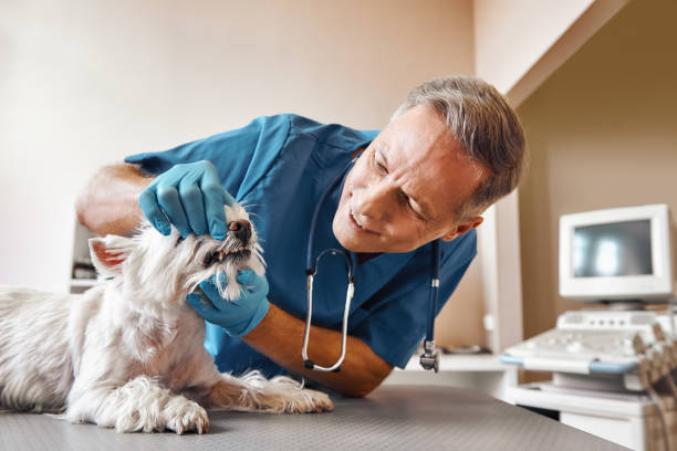 Best Emergency Root Canal Treatment in Bayou Blue, LA